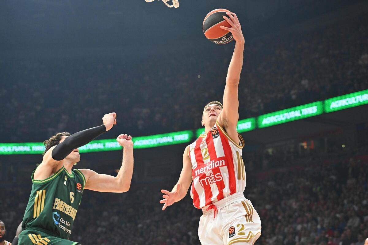 Crvena zvezda - Panatinaikos  5.JPG