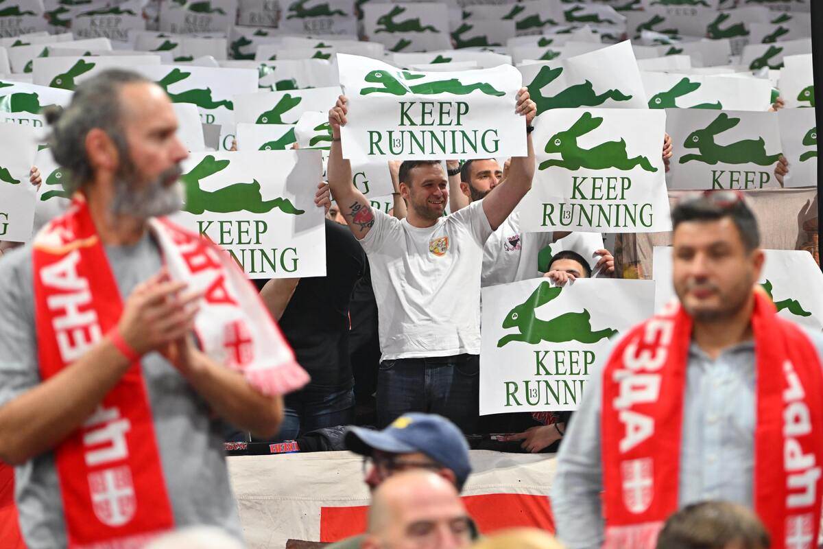 Crvena zvezda - Panatinaikos  7.JPG