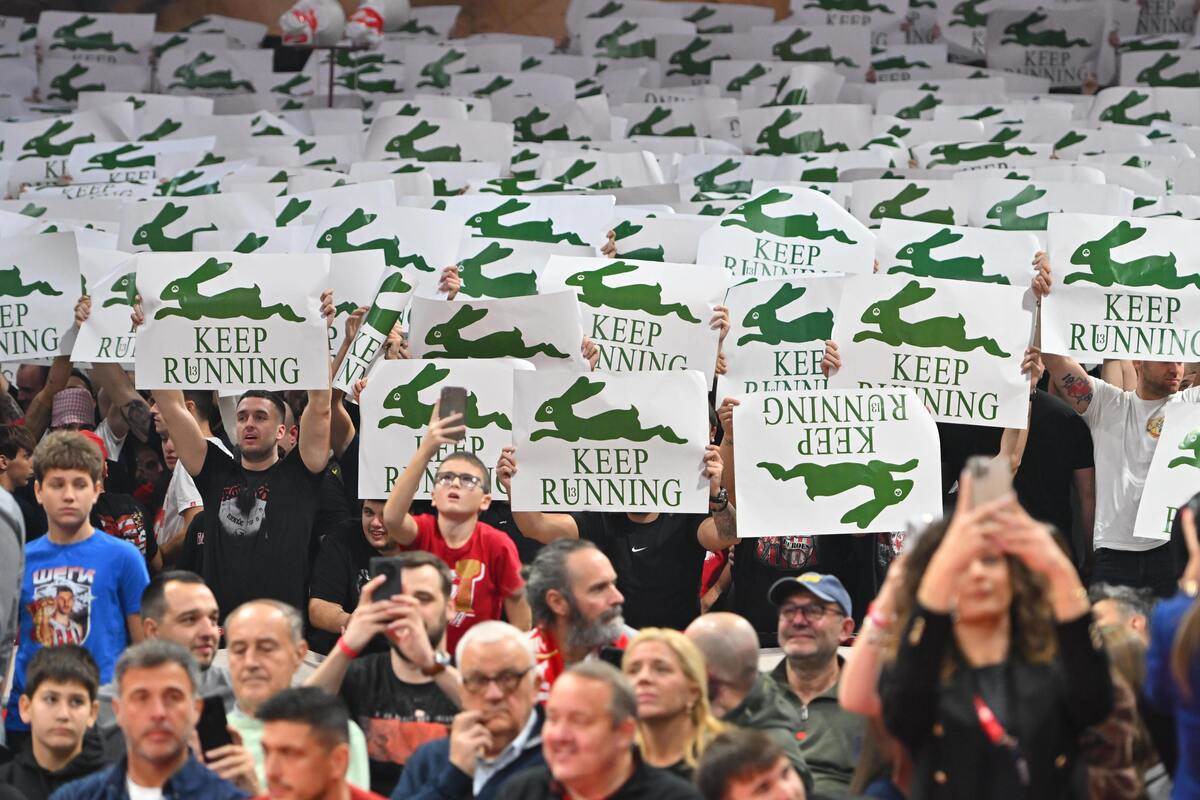 Crvena zvezda - Panatinaikos  9.JPG