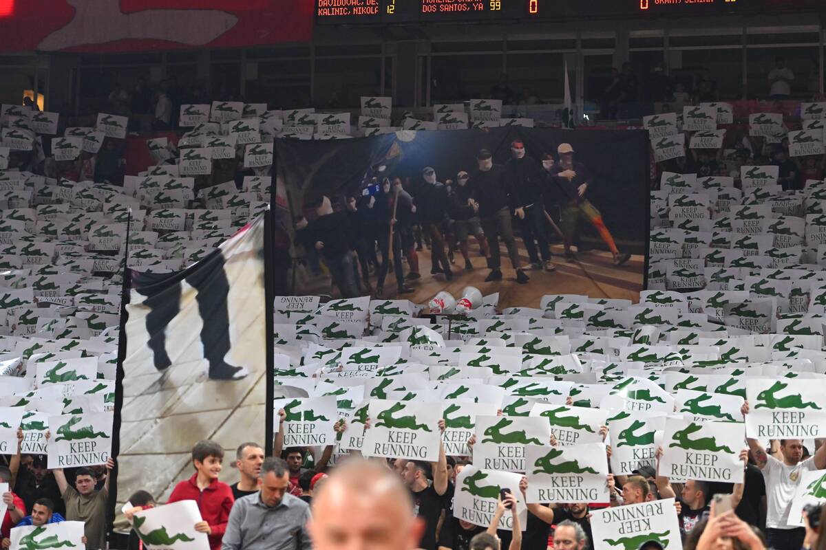 Crvena zvezda - Panatinaikos  10.JPG