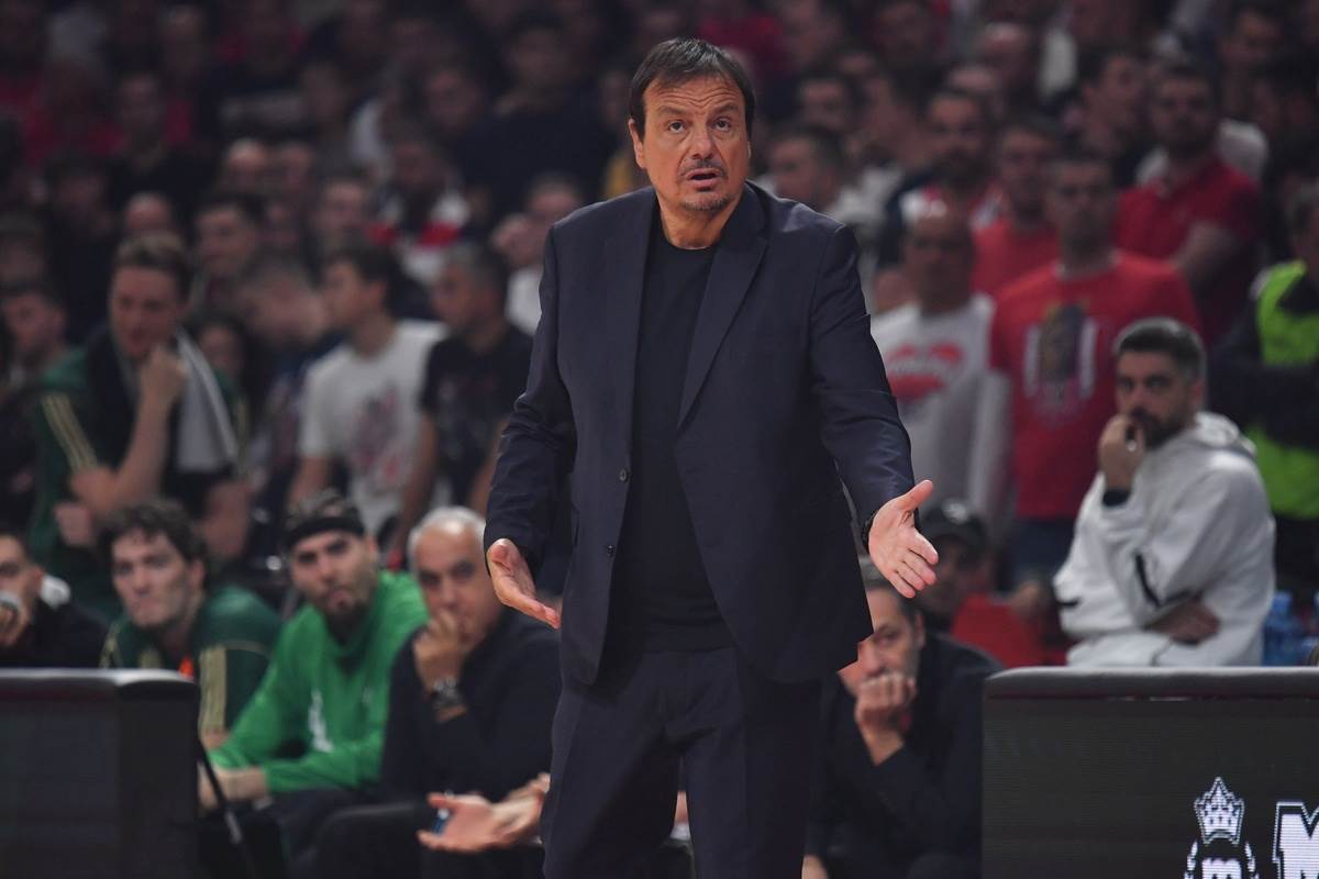 Crvena zvezda - Panatinaikos  14.JPG