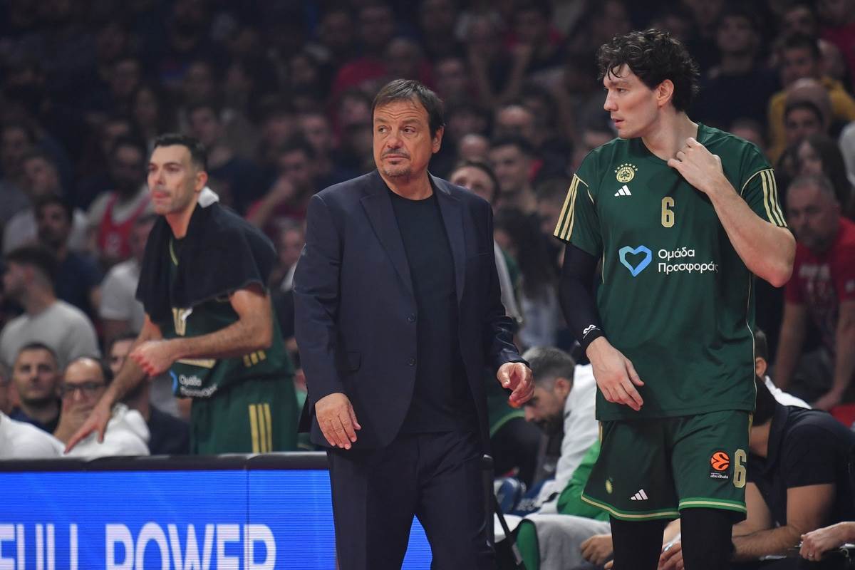 Crvena zvezda - Panatinaikos  15.JPG