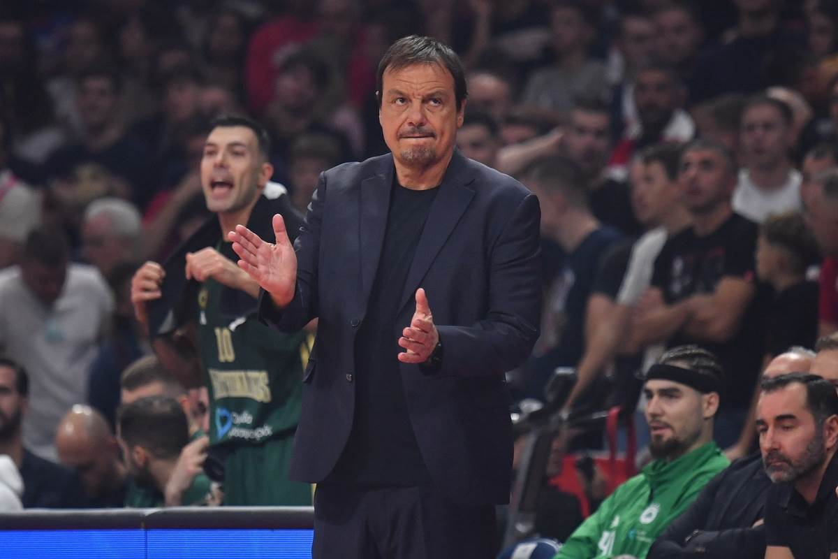 Crvena zvezda - Panatinaikos  16.JPG