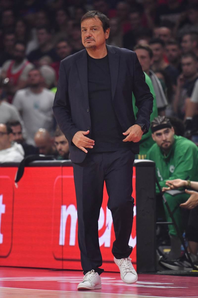 Crvena zvezda - Panatinaikos  18.JPG