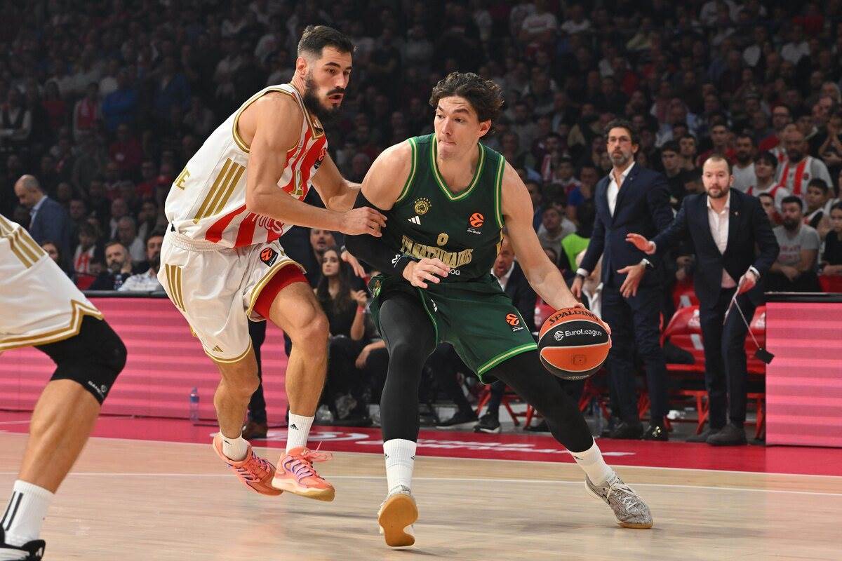 Crvena zvezda - Panatinaikos  42.JPG