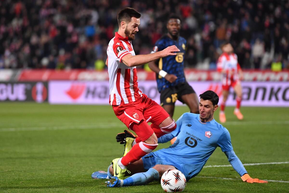 Crvena Zvezda - Lil (5).JPG