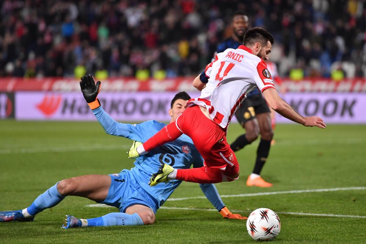 Crvena Zvezda - Lil (6).JPG