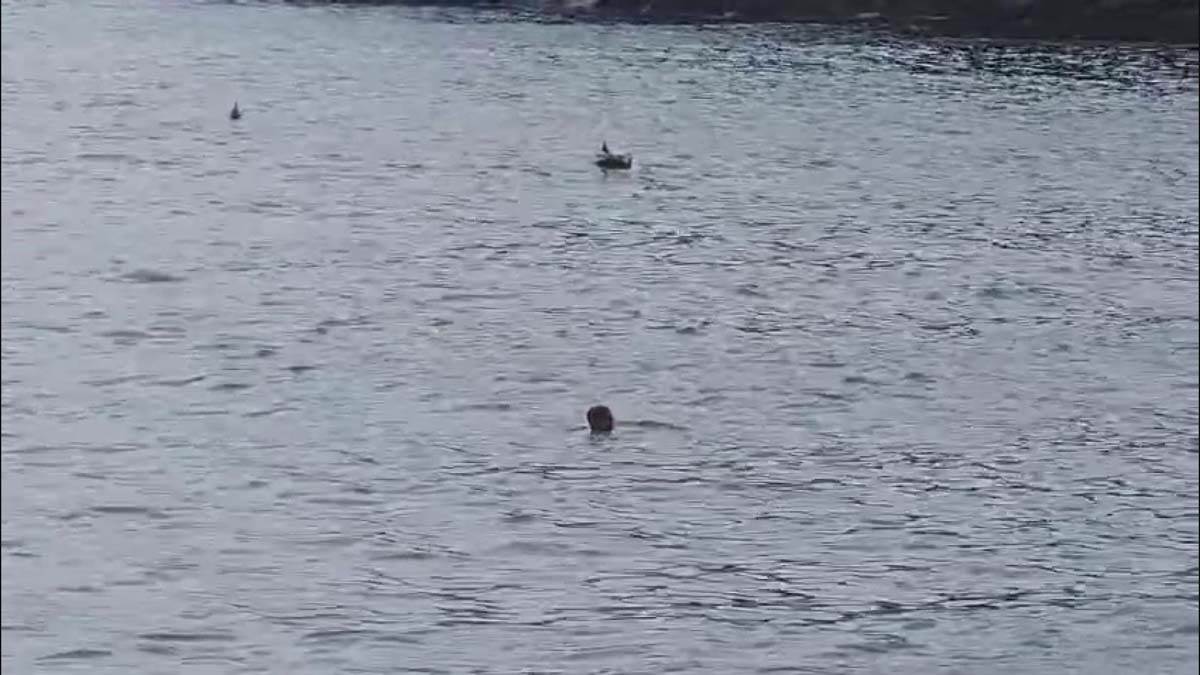 Novembar u Budvi 2.jpg