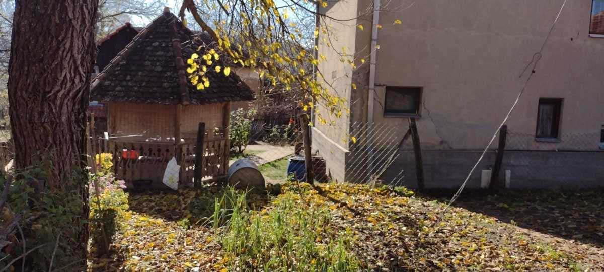 Ubistvo kod Babušnice, Babušnica, ubistvo