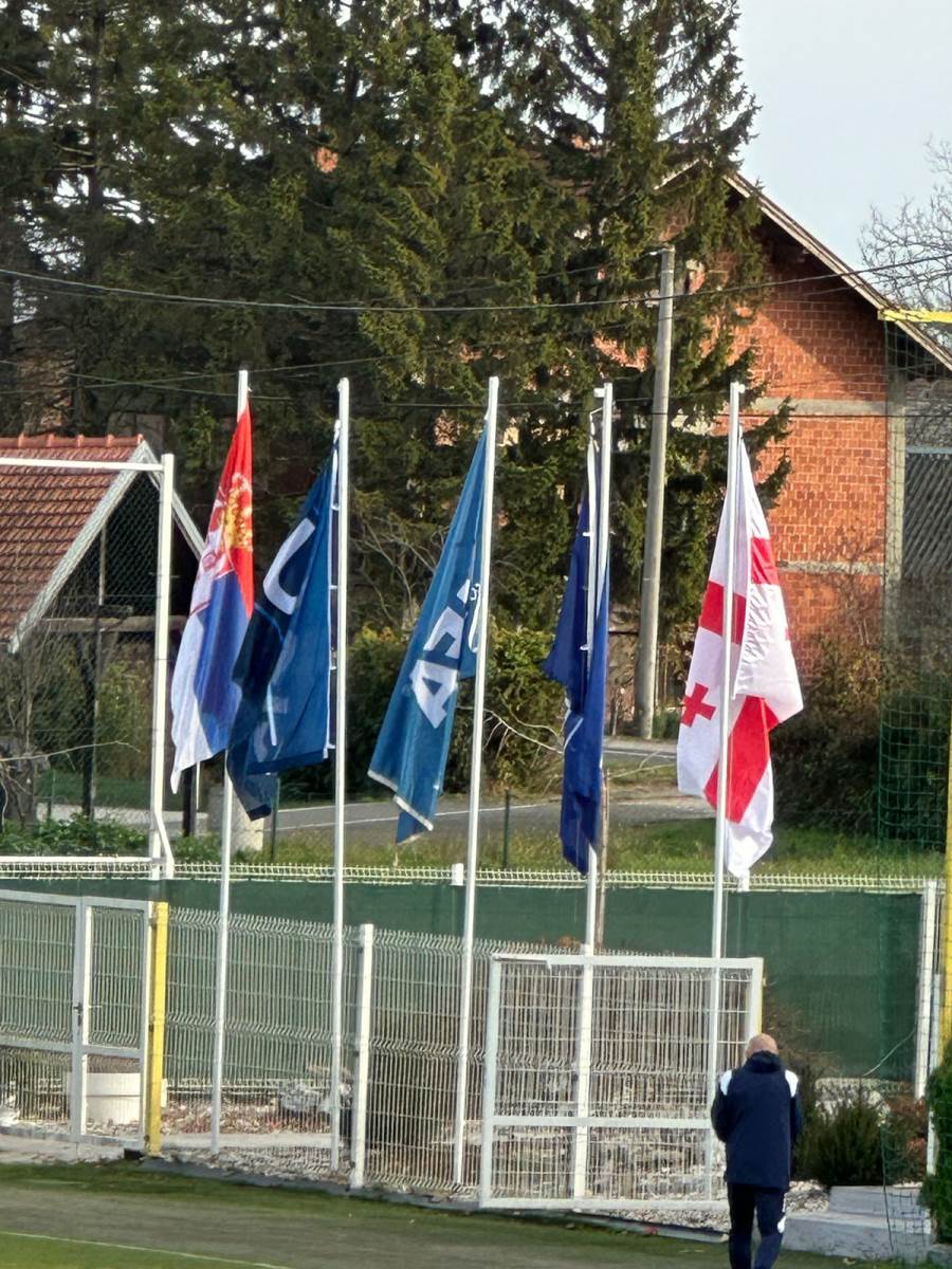 Srbija Gruzija (7).jpg