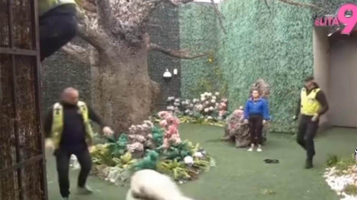 Uznemirujući snimci iz Elite: Neviđena brutalnost obezbeđenja, bacili ga sa ograde, ostao da leži na podu