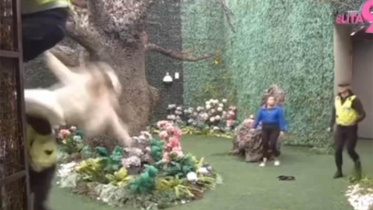 Elita 9 (3) copy.jpg