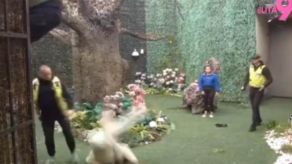 Elita 9 (6) copy.jpg