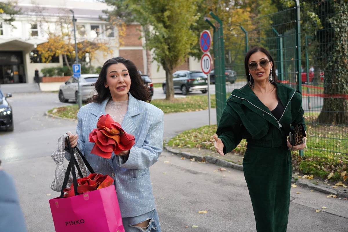 Ceca Ražnatović 7.jpg