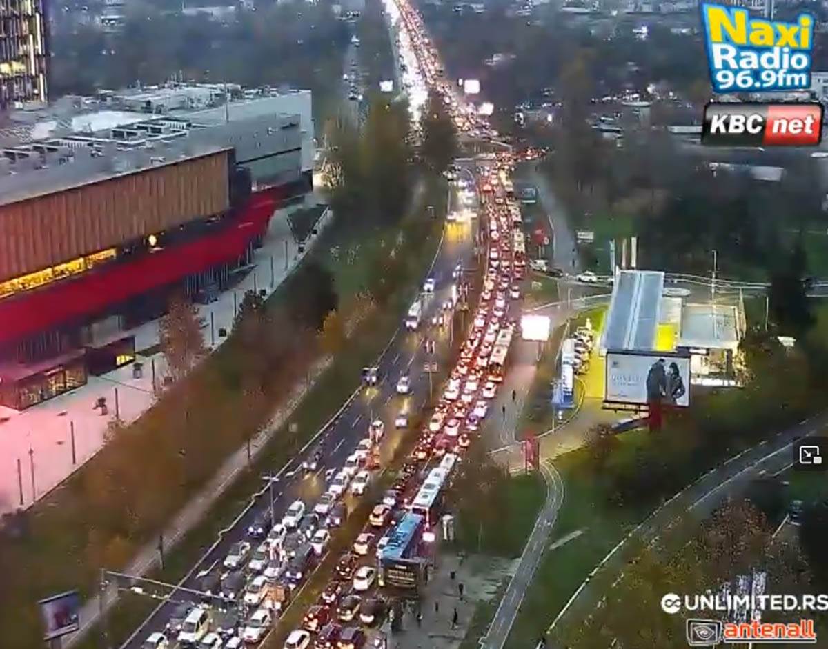 bulevar mihajla pupina copy.jpg