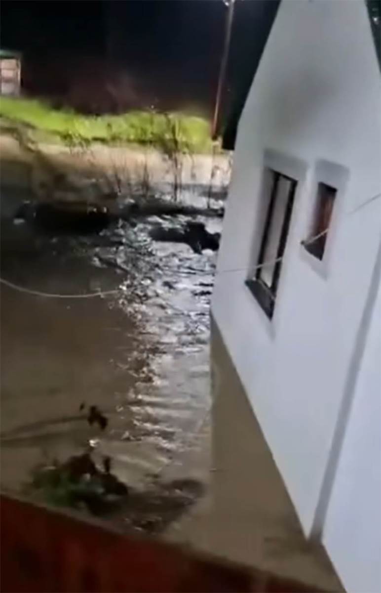 nevreme u Crnoj Gori (2).jpg