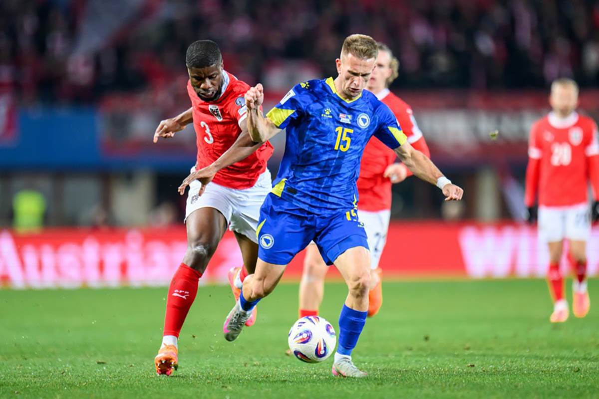 Austrija - Bosna i Hercegovina (11).jpg