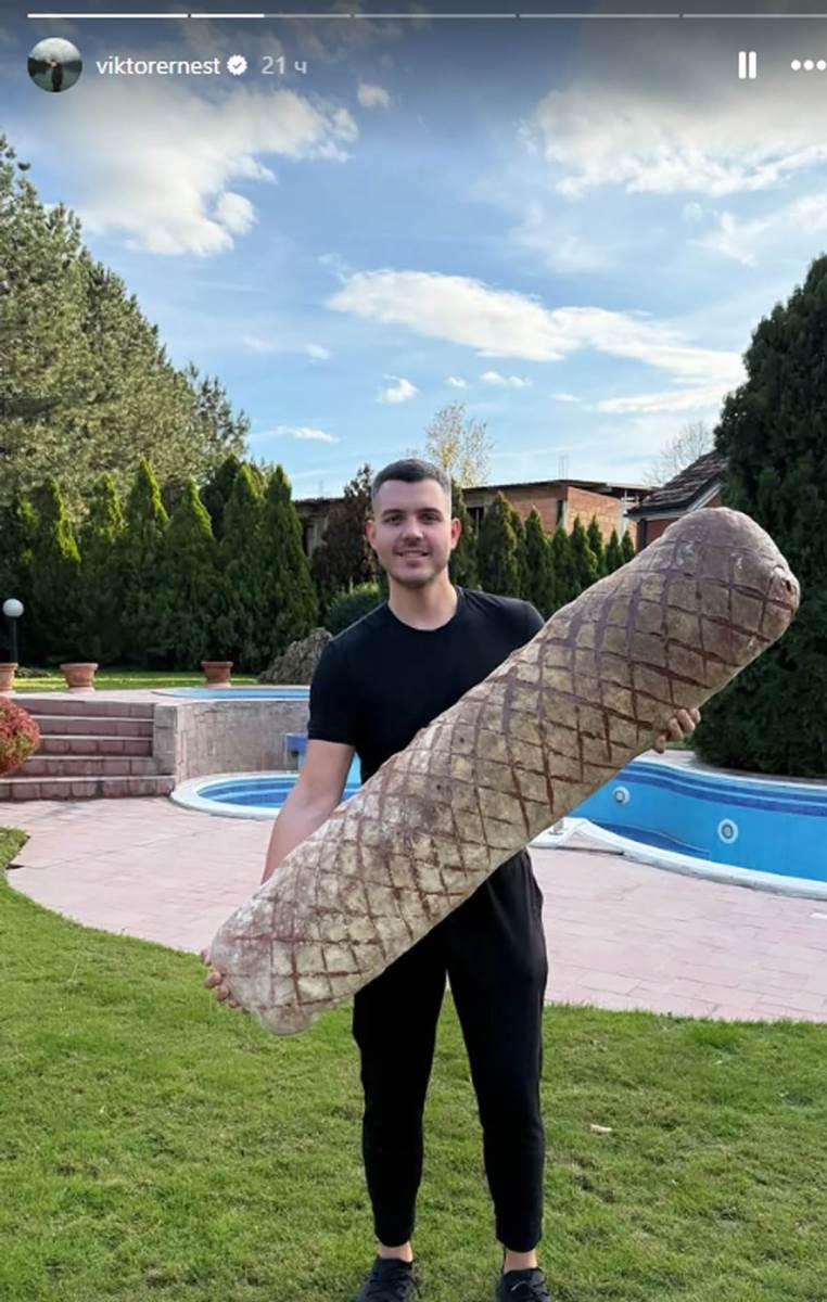 Viktor Živojinović slava