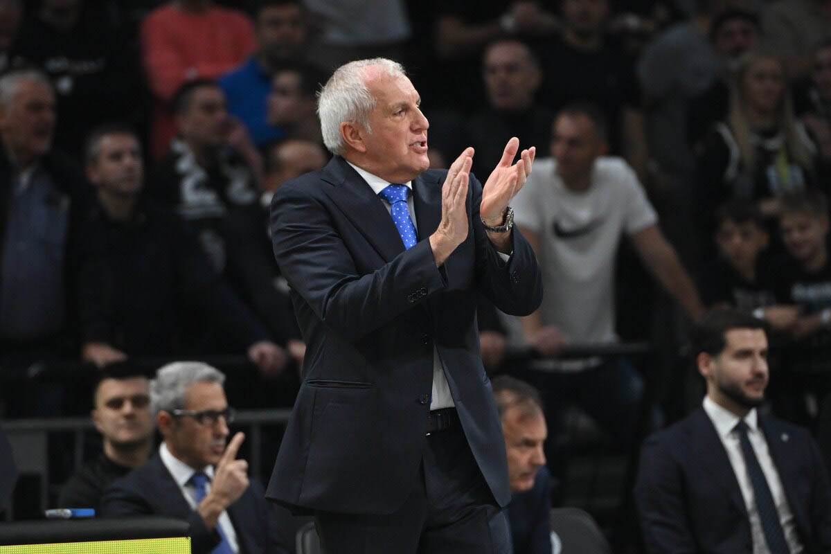 Partizan - Fenerbahče (6).jpg