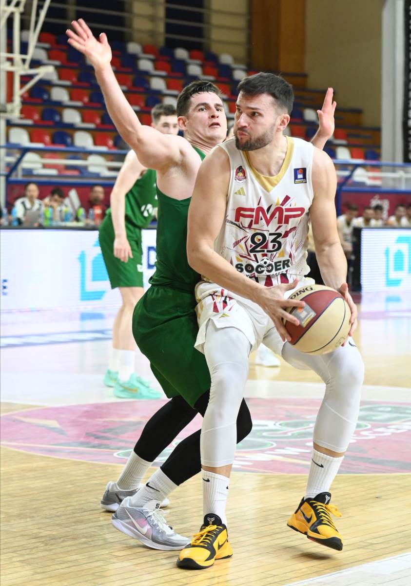 Vojislav Stojanović (13).jpg