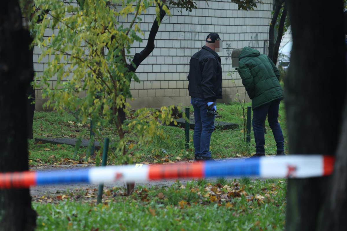 ubistvo na Novom Beogradu (10).jpg