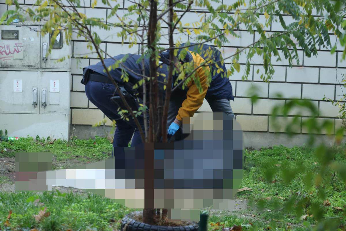 ubistvo na Novom Beogradu (1).jpg