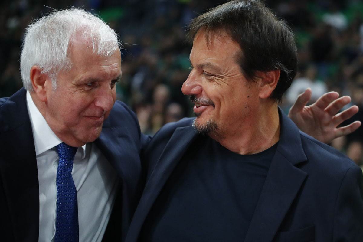 Panatinaikos - Partizan