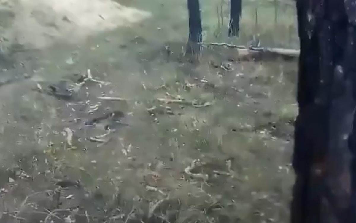 Američki vojnik u ratu u Ukrajini (1).jpg