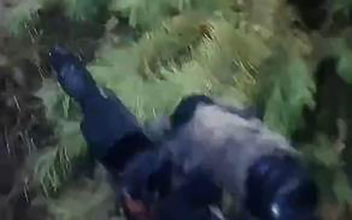 Američki vojnik u ratu u Ukrajini (2).jpg