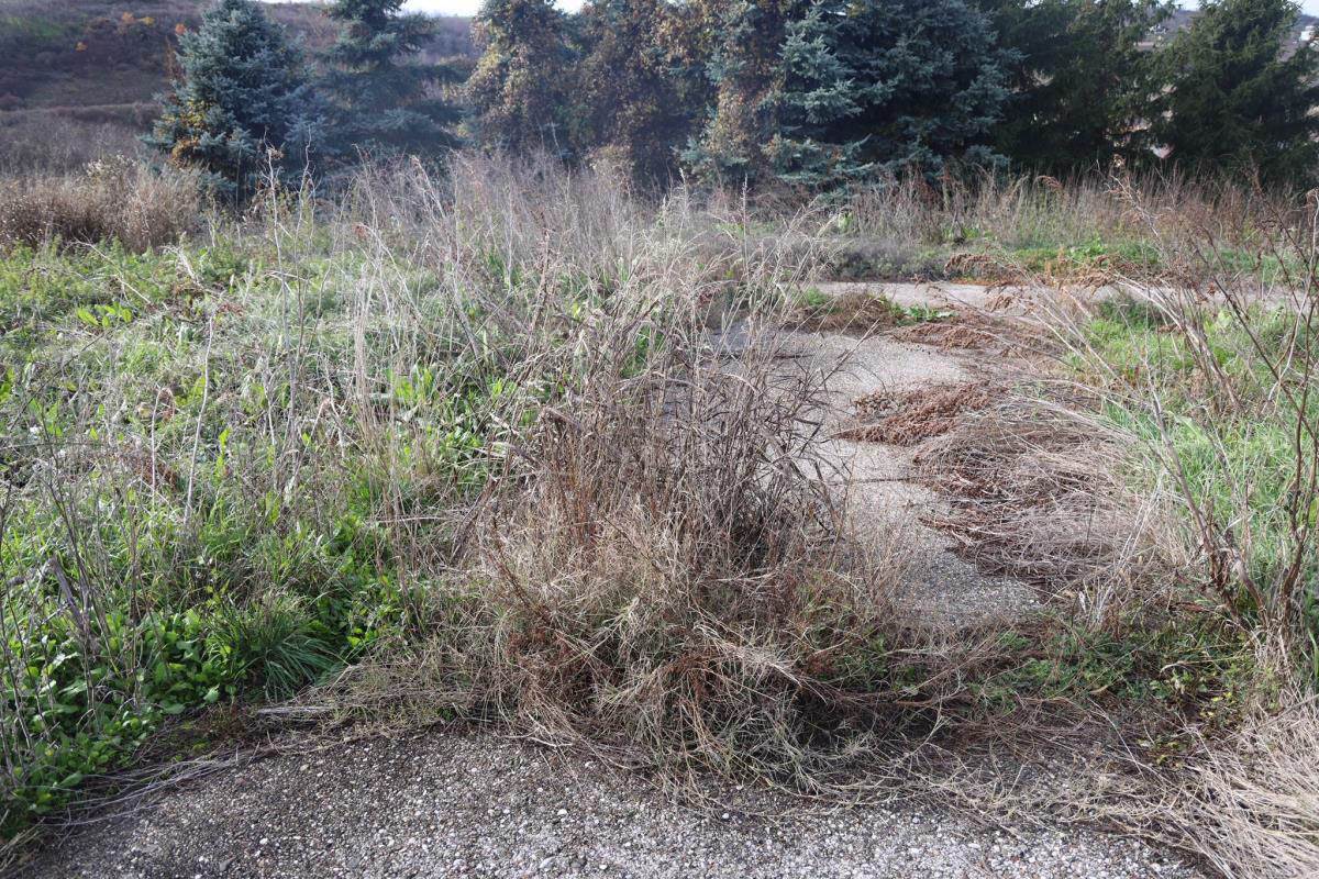 Damir Dokić napušteno imanje  (12).jpg