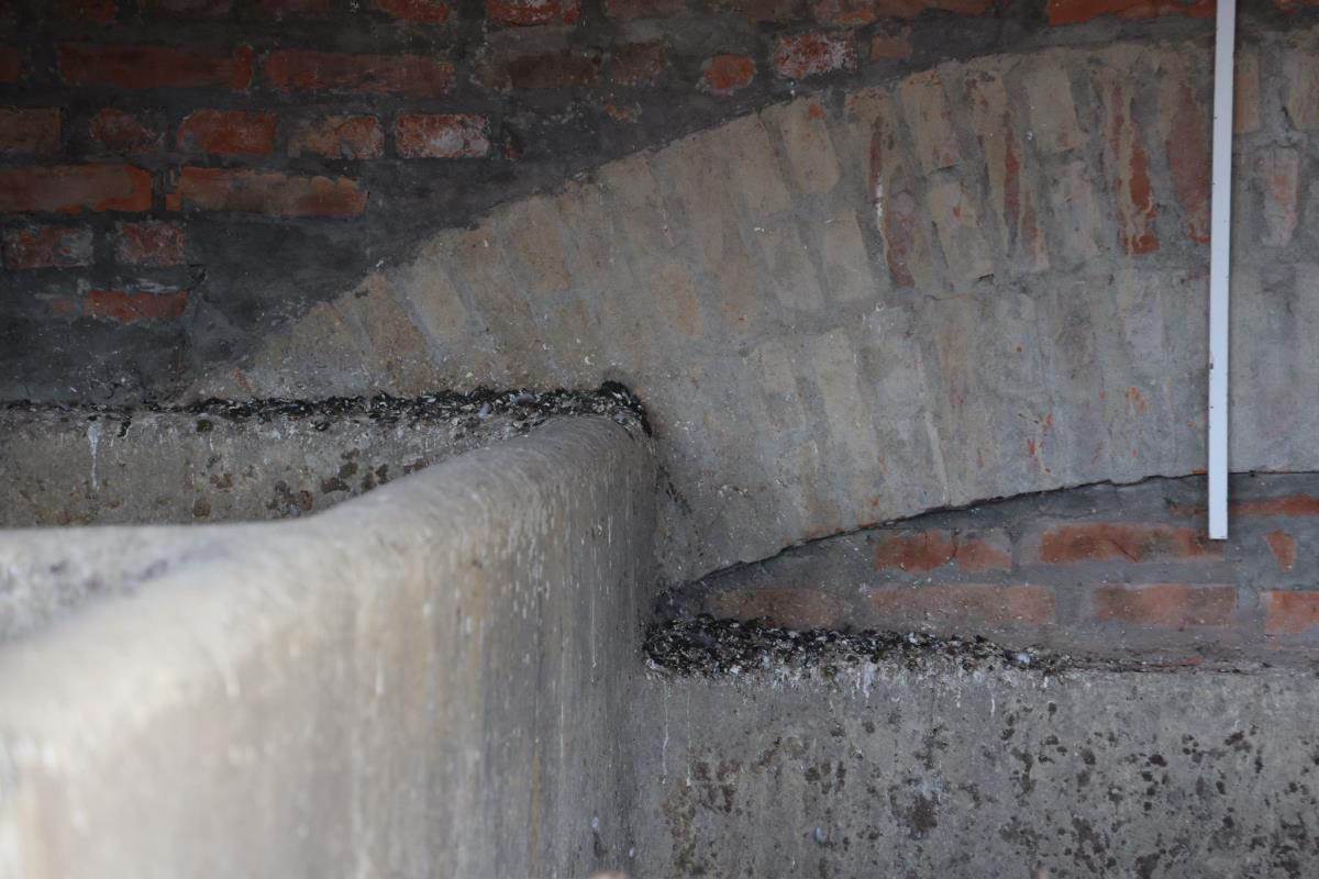 Damir Dokić napušteno imanje  (13).jpg