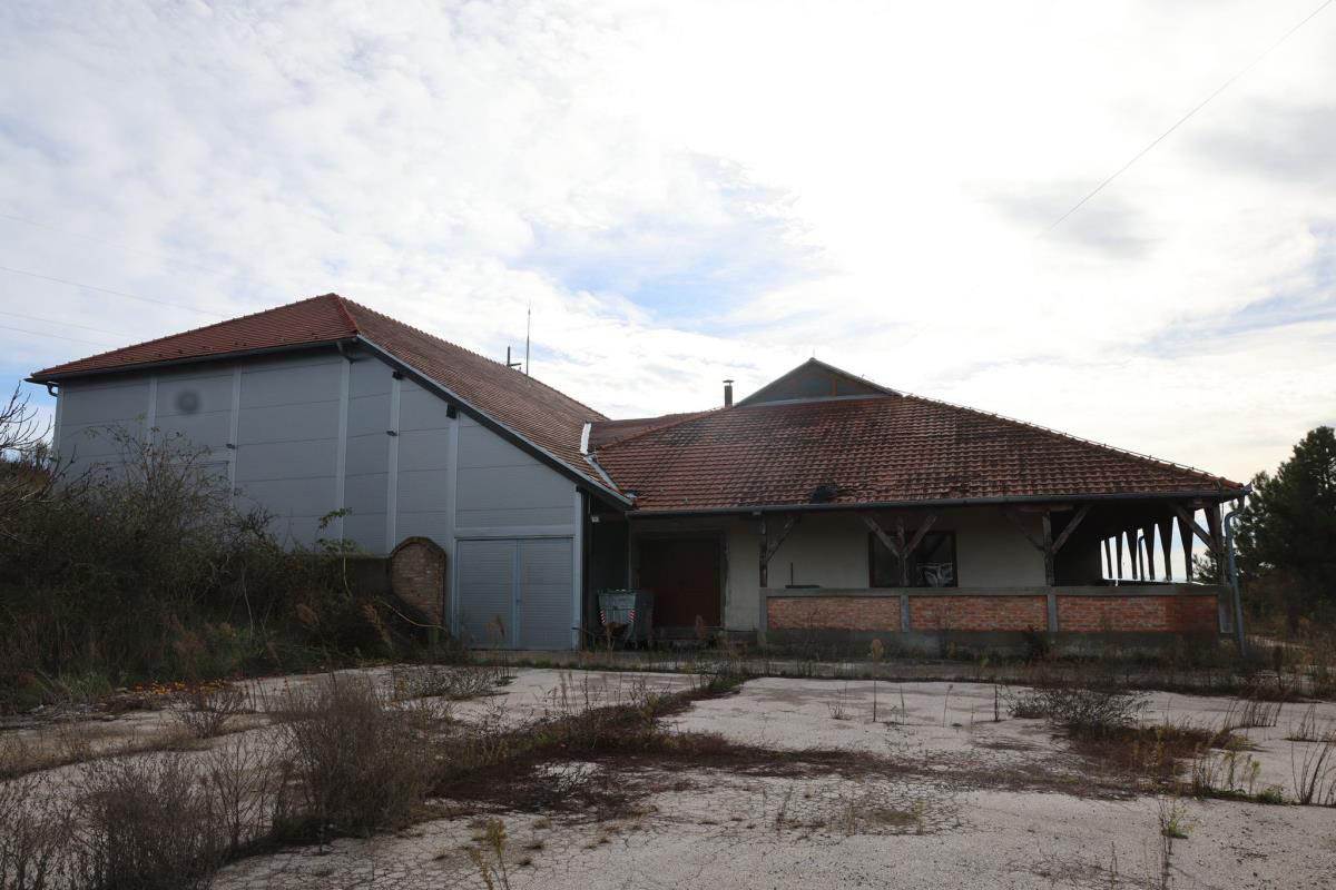 Damir Dokić napušteno imanje  (20).jpg