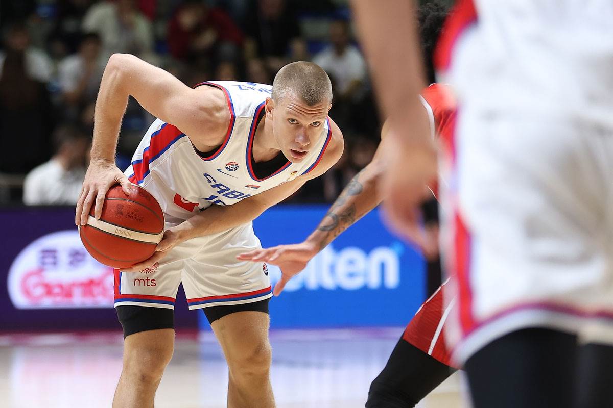 Srbija Švajcarska (15).jpg