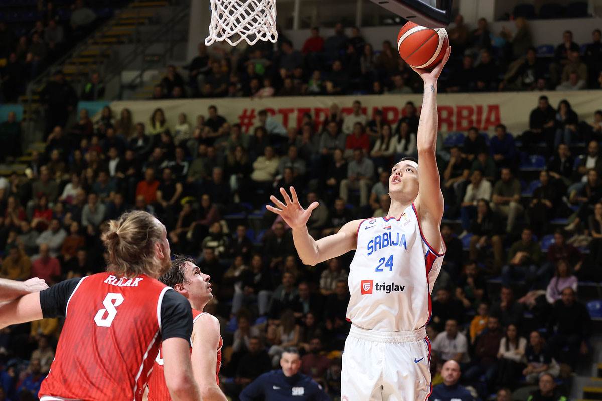 Srbija - Švajcarska  (1).jpg