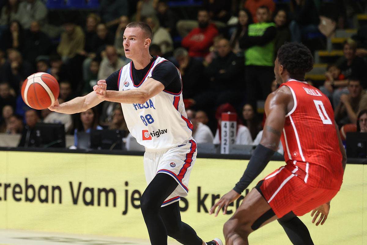 Srbija - Švajcarska  (7).jpg