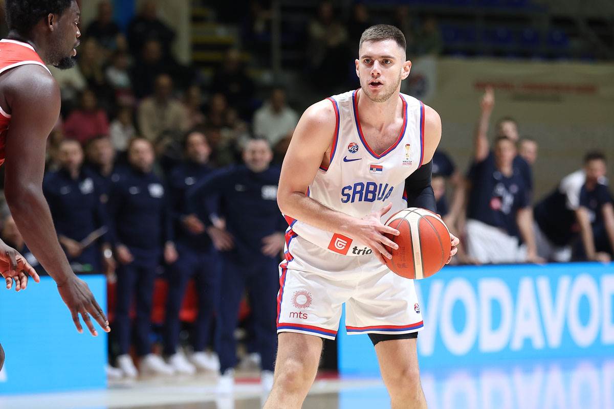 Srbija - Švajcarska  (14).jpg