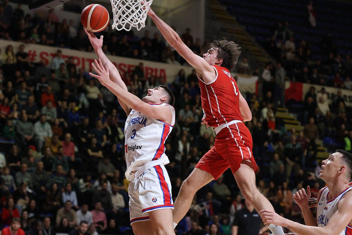 Srbija - Švajcarska  (18).jpg