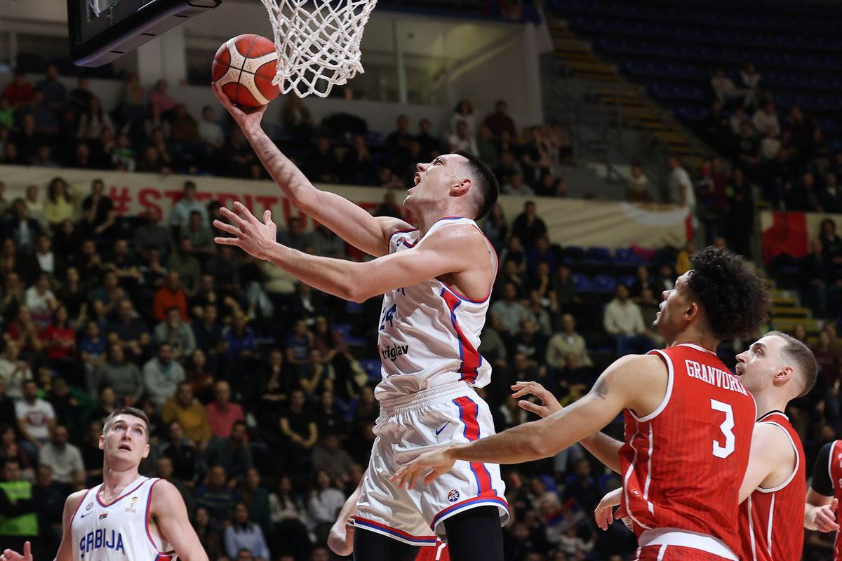 Srbija - Švajcarska  (22).jpg