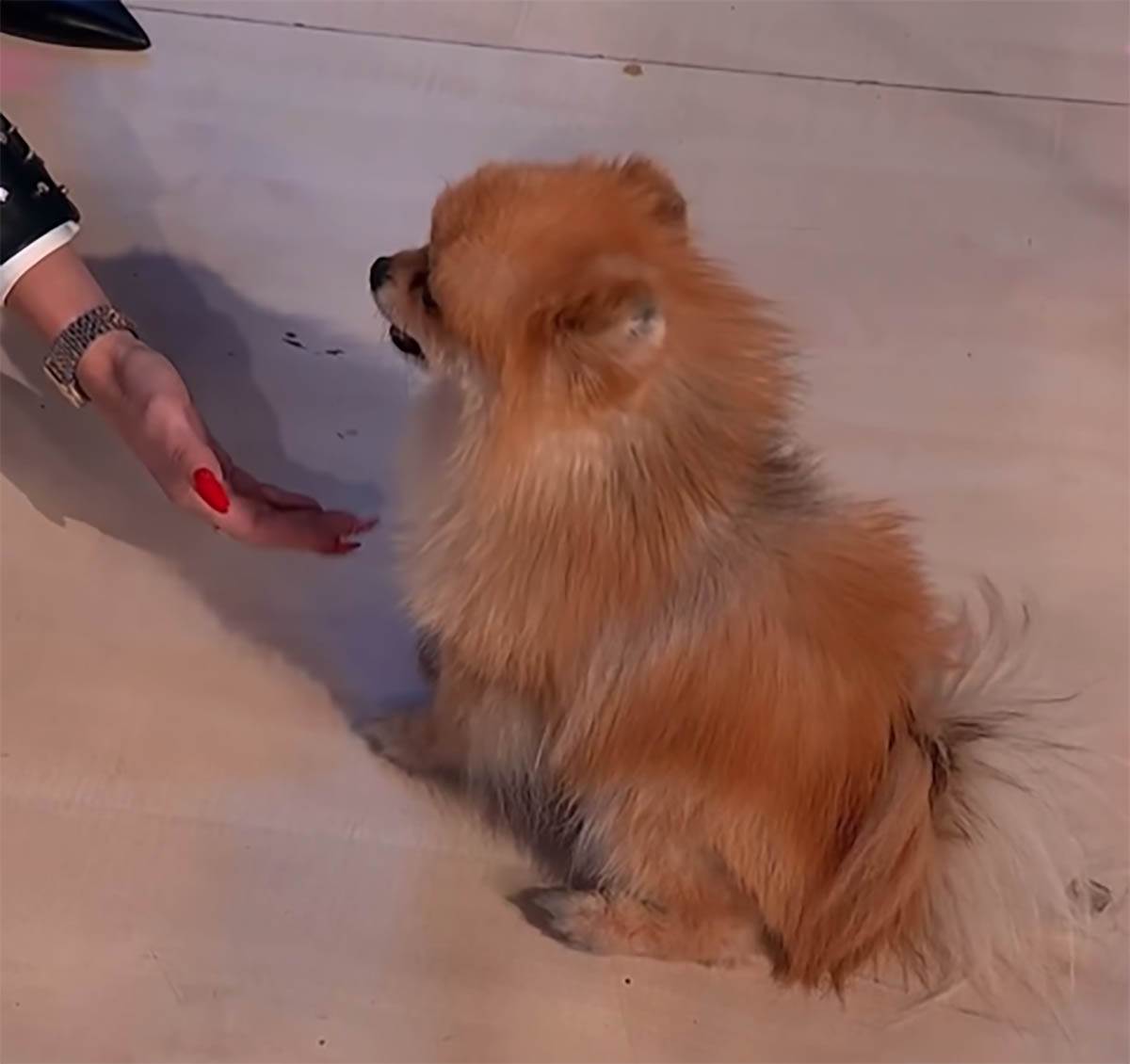 Jovana Jeremić (3).jpg