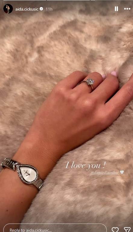 damir džumhur i aida