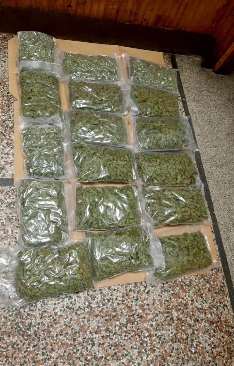 zaplena marihuane (1).jpg