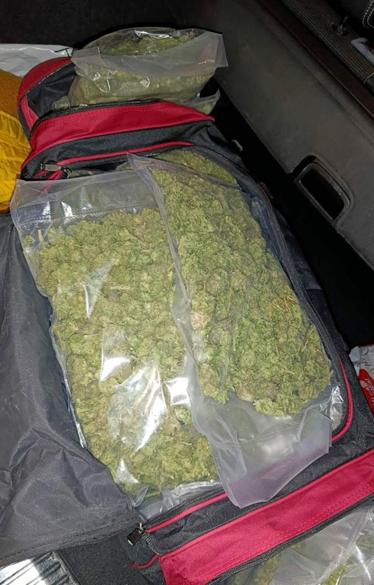 zaplena marihuane (2).jpg