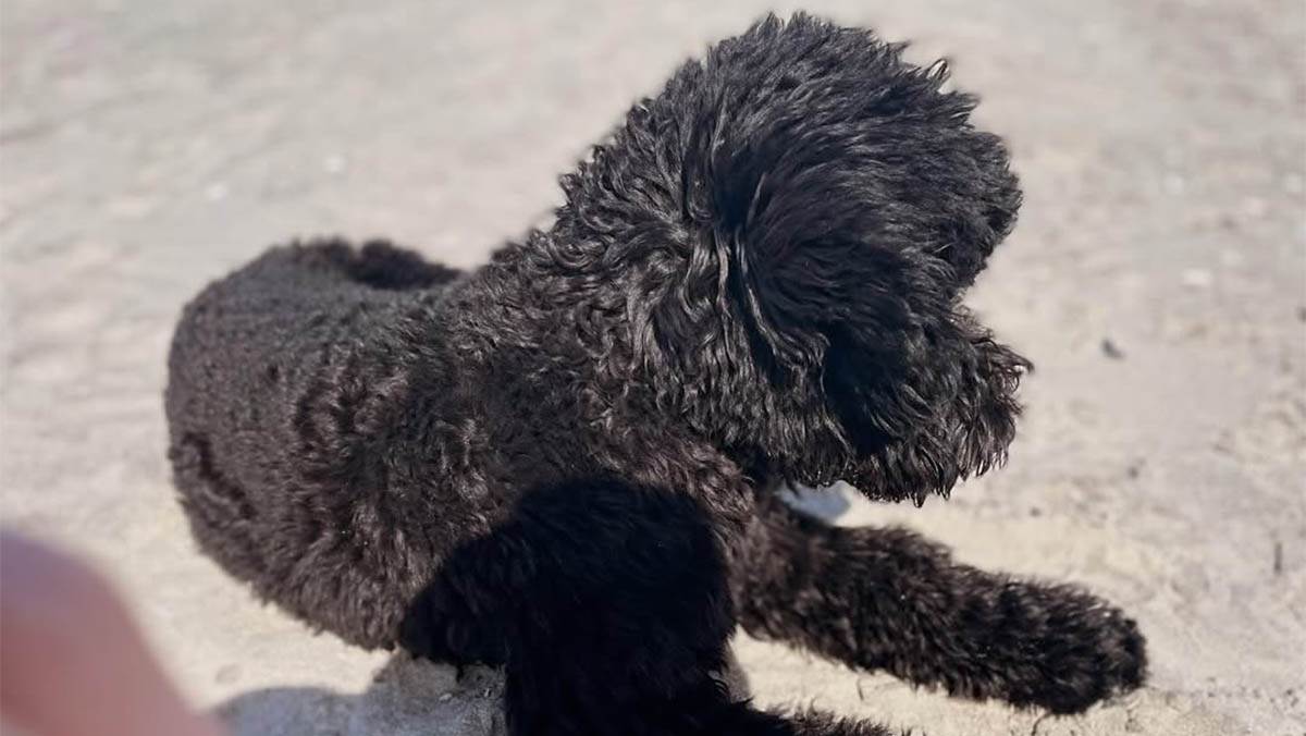 Maša Dakić (19).jpg