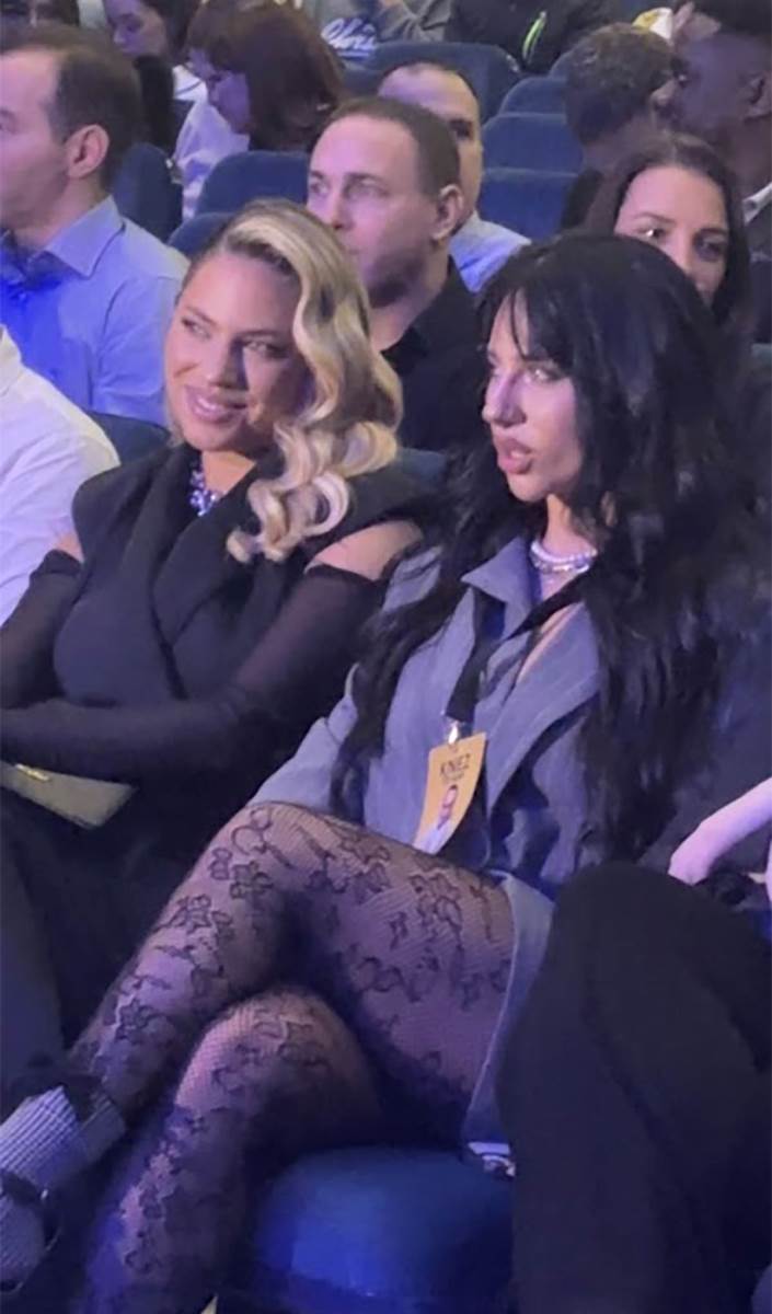 poznati na Knezovom koncertu u Sava Centru (11).jpg