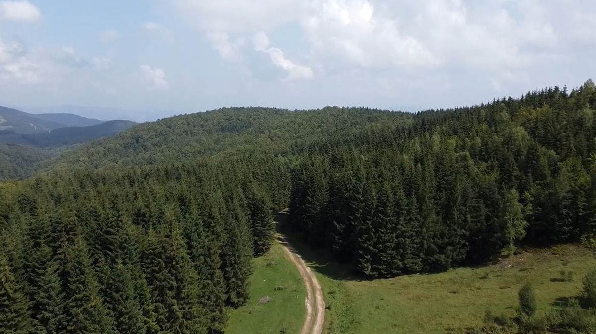 Planina Javor.jpg