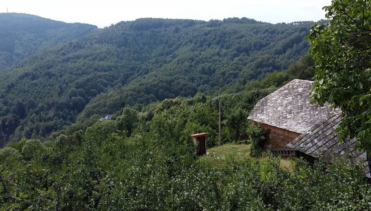 Planina Javor (3).jpg