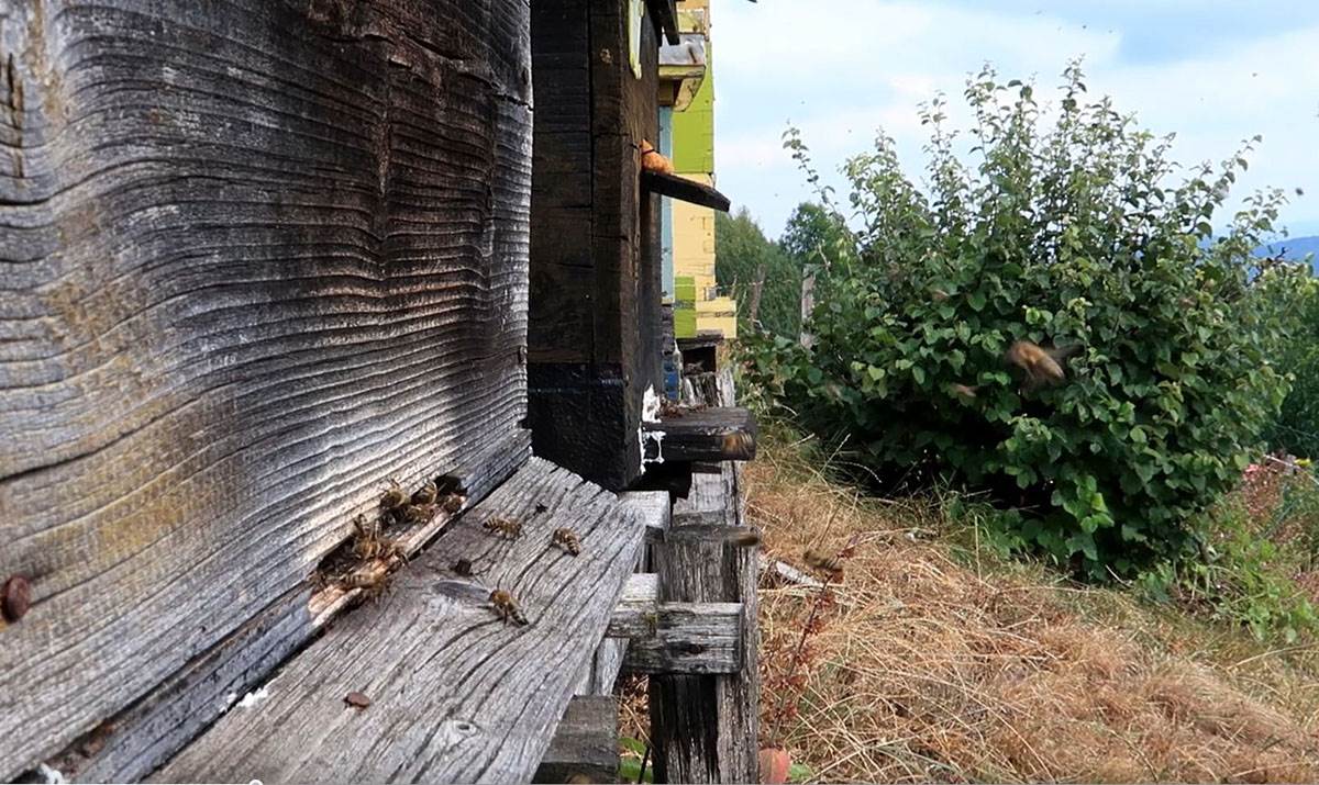 Planina Javor (10).jpg