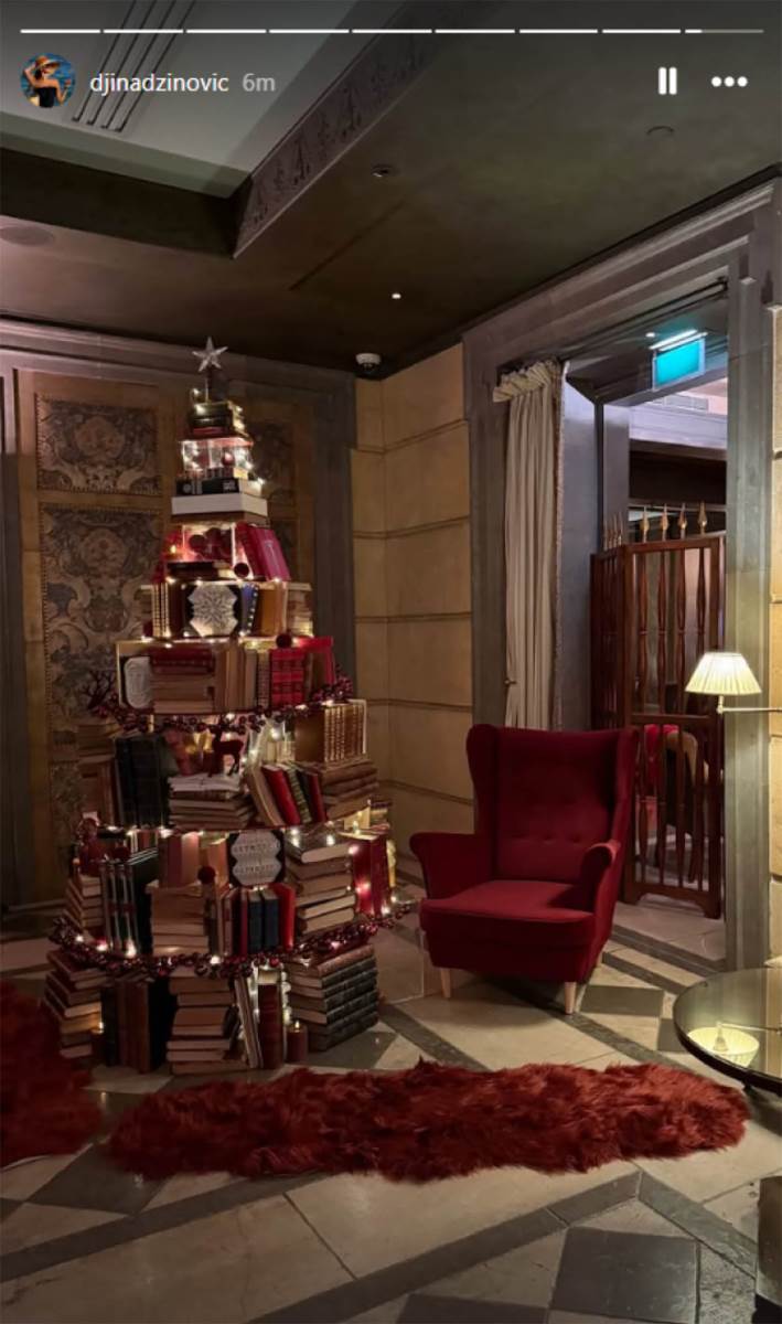 Đina Džinović 1.jpg