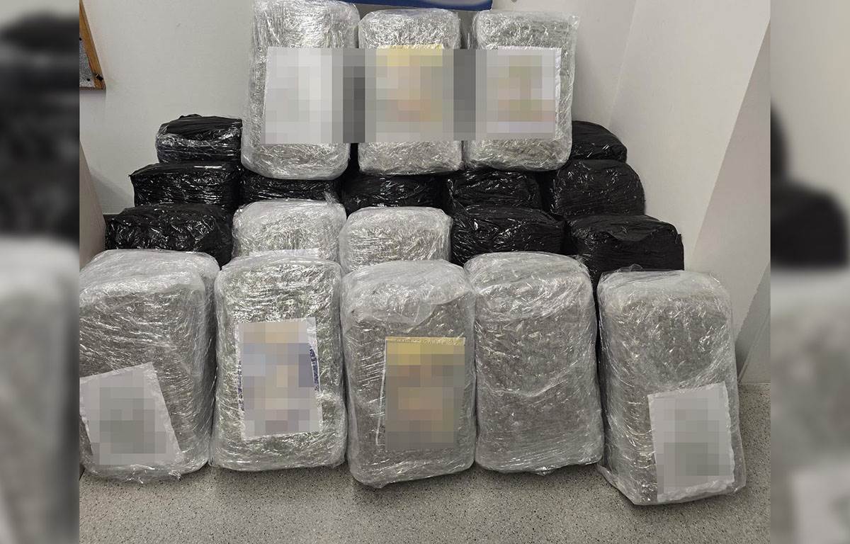 Zaplena droge (7).jpg