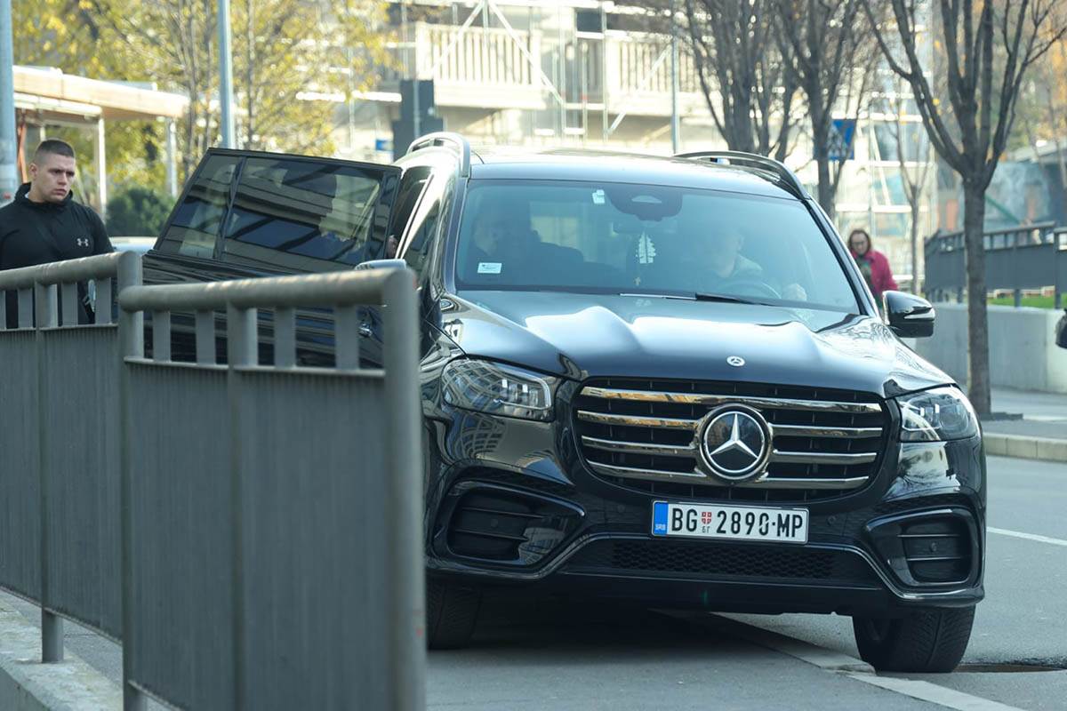 Suđenje Ceca Ražnatović Saša Mirković (6).jpg